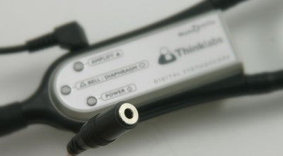 DS32A+ Audio Cable (Female 3.5 mm)